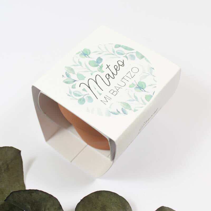 Kit de semillas - Imagen 4