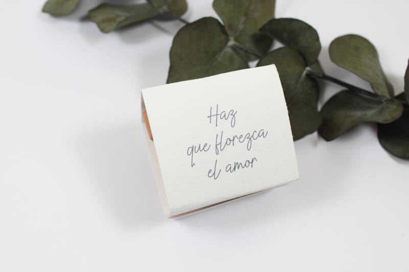 Kit de semillas - Imagen 6